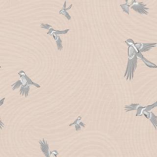 Chickadee wallpaper