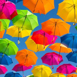 Rainbow bright multi colors wallpaper