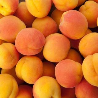 Apricots wallpaper