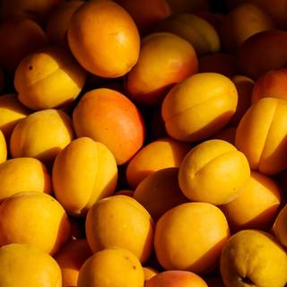 Apricots wallpaper