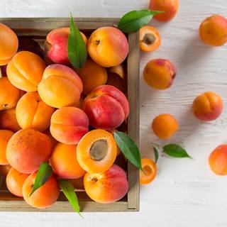 Apricots wallpaper