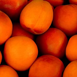 Apricots wallpaper