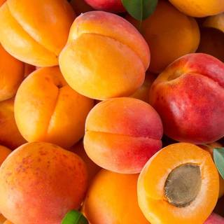 Apricots wallpaper