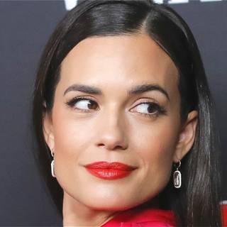 Torrey DeVitto wallpaper