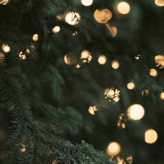 iPhone 14 Christmas wallpaper