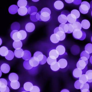 Violet Xmas wallpaper