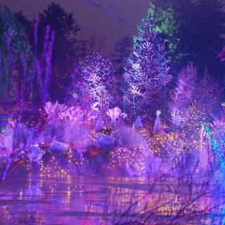 Violet Xmas wallpaper