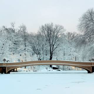 New York 4k winter wallpaper