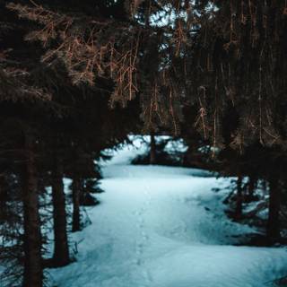 Winter aesthetic dark wallpaper