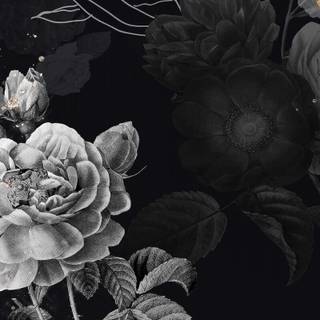 Winter aesthetic dark wallpaper