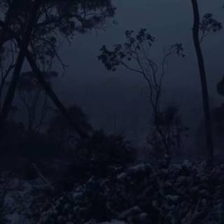 Winter aesthetic dark wallpaper