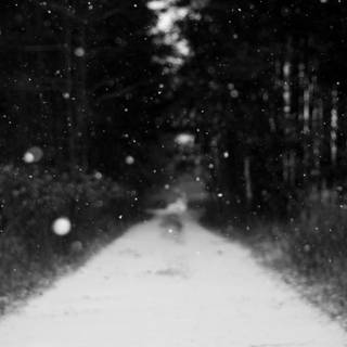 Winter aesthetic dark wallpaper