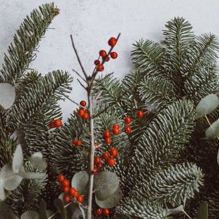 VSCO Christmas computer wallpaper