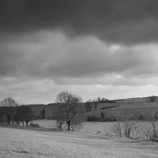 Winter grey wallpaper