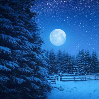 Anime winter night phone wallpaper