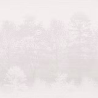Winter grey wallpaper