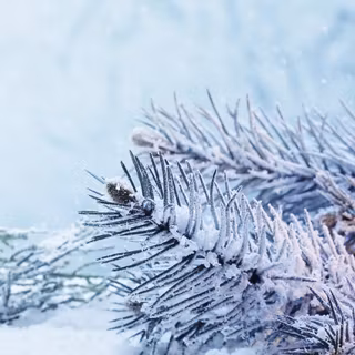 3840x1080 Xmas wallpaper