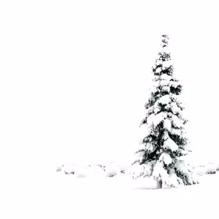 Green white winter Christmas wallpaper