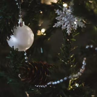 Green white winter Christmas wallpaper