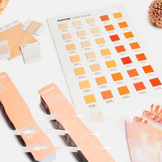 2024 color of the year wallpaper