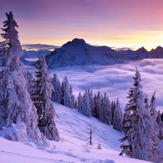 Snowy winter landscape wallpaper