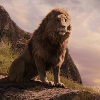 Narnia 4k wallpaper