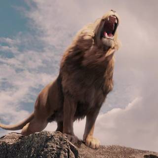 Narnia 4k wallpaper