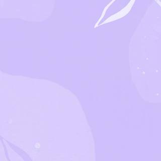 Lilac phone wallpaper