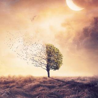 Power iPhone wallpaper