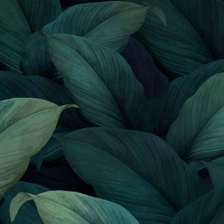 iPhone texture wallpaper