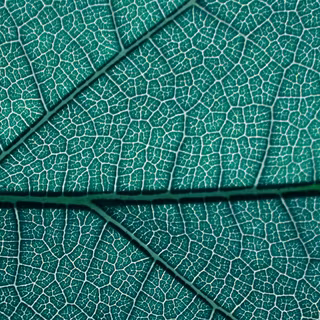 iPhone texture wallpaper