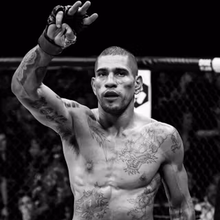 iPhone UFC wallpaper