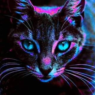 Phone animals wallpaper