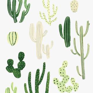 iPhone plants wallpaper