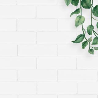 iPhone plants wallpaper