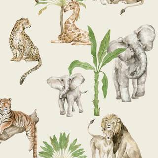 Phone animals wallpaper