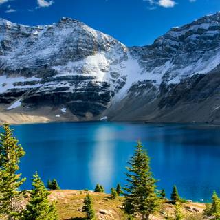 Paradise iPhone wallpaper