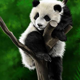 Phone animals wallpaper