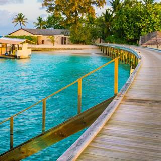 Paradise iPhone wallpaper