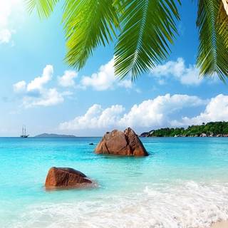 Paradise iPhone wallpaper