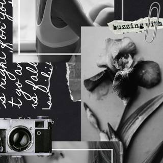 Aesthetic phone collage wallpaper