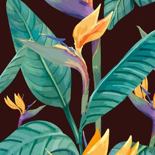 Paradise iPhone wallpaper