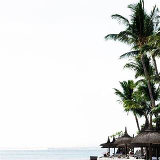 Paradise iPhone wallpaper