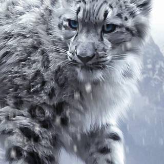 Phone animals wallpaper