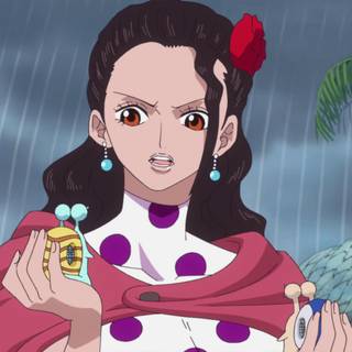 Viola One Piece wallpaper