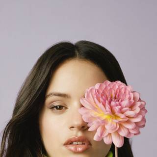 La Rosalia wallpaper