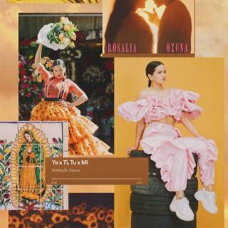 La Rosalia wallpaper