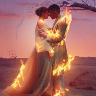 La Rosalia wallpaper