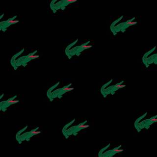 Lacoste iPhone wallpaper
