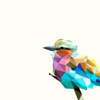 Bird desktop 4k wallpaper